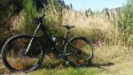 20180930_135334.jpg