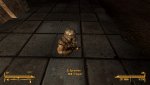 FalloutNV_2018_09_28_13_49_50_029.jpg