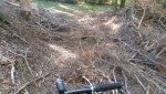 20181013_142711.jpg