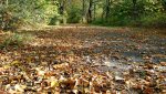 20181020_195540.jpg