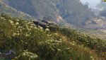 GTA5 2018-10-21 15-41-12-34.jpg