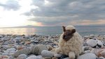 MotoG3_Greece2018_082 Kopie.jpg