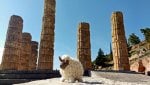 MotoG3_Greece2018_121 Kopie.jpg