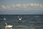 DSC02249.jpg