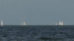 DSC02249-3.jpg