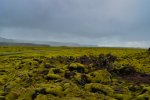DSC_85881.jpg