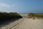 DSCF2517.jpg
