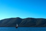 _DSC0709.jpg