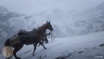 Red Dead Redemption 2_20181121192052.jpg