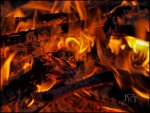Lagerfeuer 04.jpg
