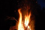 DSC_3729.jpg