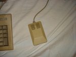 DSC03979.jpg