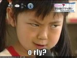 orly2small.jpg