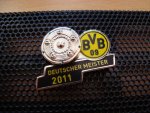 BVB Pin 006.JPG