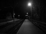 P1000247-2.jpg