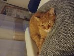 20180918_213129.jpg
