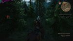 opti1_witcher.jpg