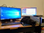 ryzen_build_3_cat.jpg