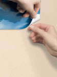 256922dim_203x276mode_exact.gif