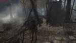ROTTR_2016_09_24_12_53_30_872.jpg