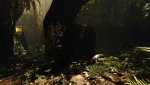 SOTTR_2019_01_25_00_11_01_107.jpg