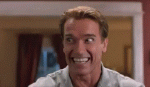 orig.gif