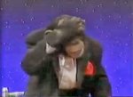 Chimp Facepalm.jpg
