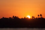DSC_6003s.jpg