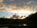 Foto0303.jpg