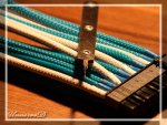 IMG_3672.jpg