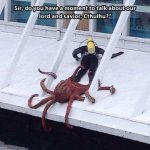 http___thumbpress.com_wp-content_uploads_2013_12_funny-diver-ocean-octopus-squid1.jpg