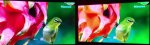 links VA rechts TN (8 vs 6 bit) 2.jpg