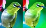 links VA rechts TN (8 vs 6 bit) 3.jpg