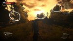 witcher3dof.jpg