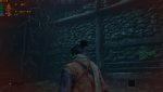 sekiro fps.jpg