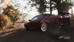 Forza81.jpg