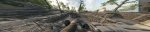 bf1_2018_08_20_09_31_b9ejm.jpg
