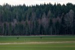 D85_3473_DxO.jpg