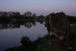IMG_807803a.jpg