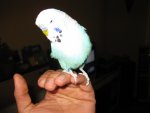IMG_0093.jpg