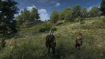 witcher3_2019_05_04_12_18_30_170.jpg
