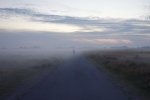 DSC00782.jpg