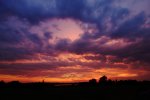 DSC00874 (1).jpg