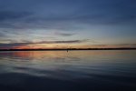 DSC00901.jpg