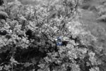 DSC00317.jpg