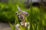 FlyPic (5)_1556857696696.jpg