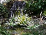 20190418_142828.jpg