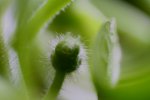 IMG_8026.jpg