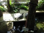 IMG_0707.jpg