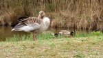 DSC02521-001.JPG